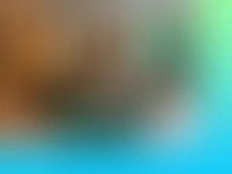 다낭 베안스파 이용 안내 총정리