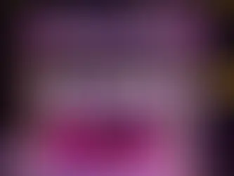 호치민 시크릿바